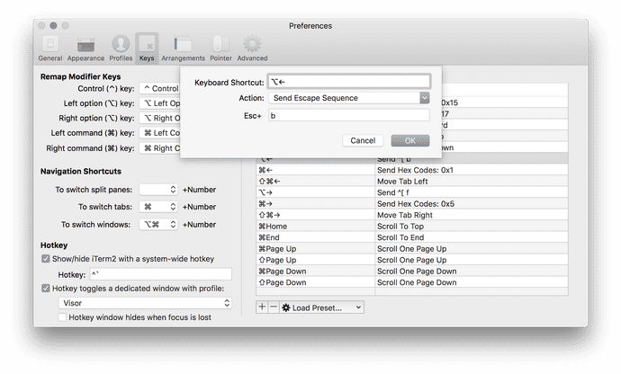 screenshot of option-left settings